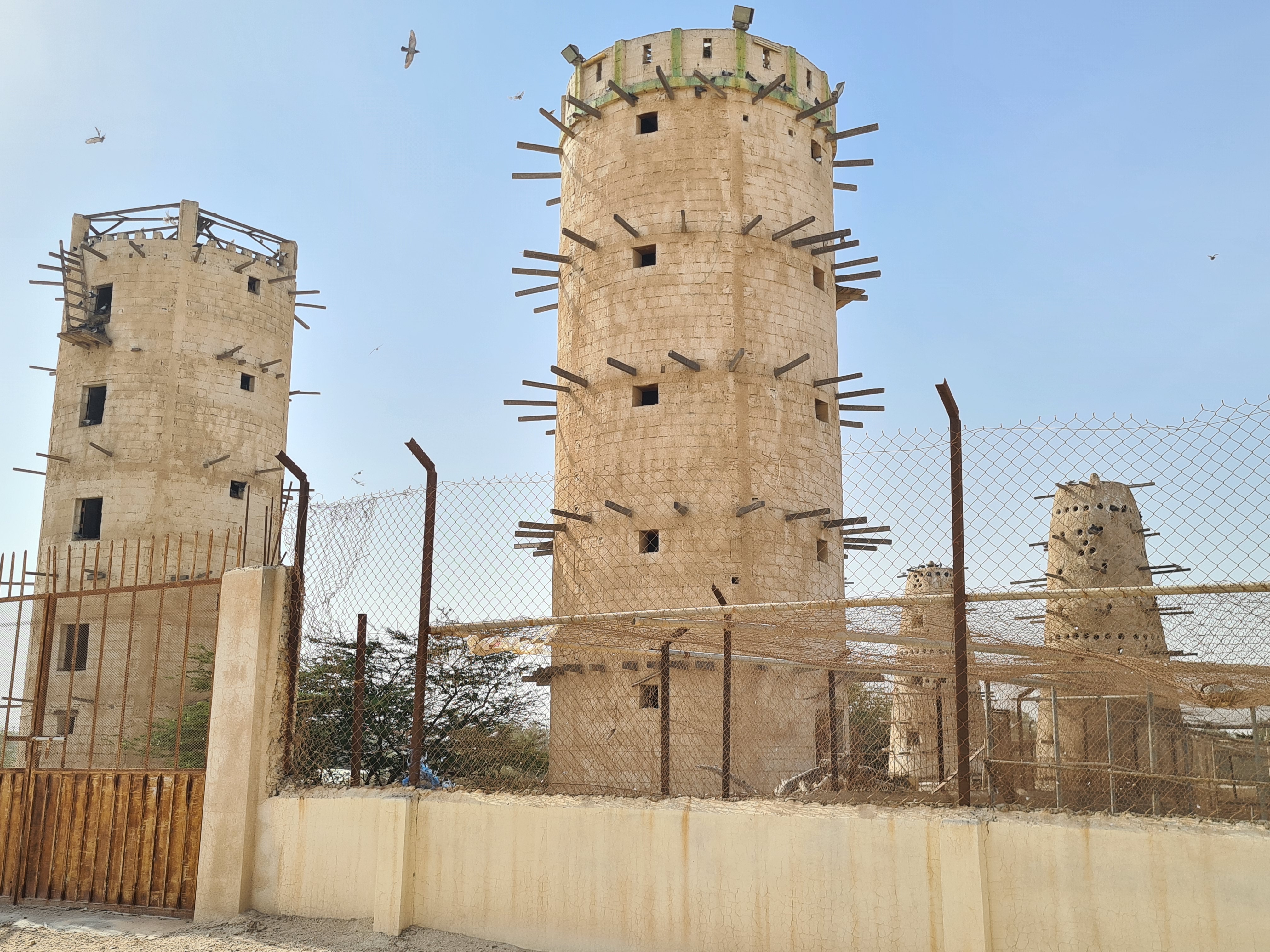 North of Qatar Tour